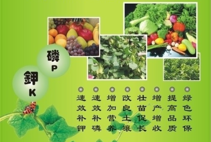 玉米高筋粉